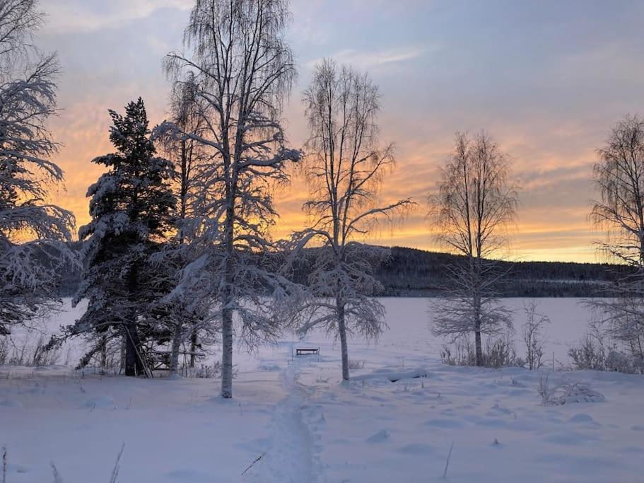Lakeside Wilderness Cabin Йокмокк Экстерьер фото